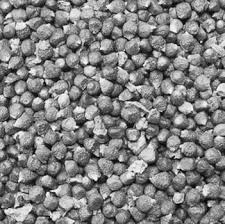 Image result for Aframomum polyanthum