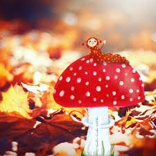 Susanne Hallo Liebe Wolke Auf Instagram Ihr Wisst Ja Ich Hab S Mit Den Wurmern Keine Ahnung Woher Das Kommt Aber Das Da Oben Ist Jedenfalls Pia Pia