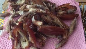 Maybe you would like to learn more about one of these? Beli Kurma Dengan Harga Mahal Cewek Ini Malah Kecewa Karena Di Dalamnya Terdapat Hal Yang Menjijikan Untuk Dimakan Inafeed Com