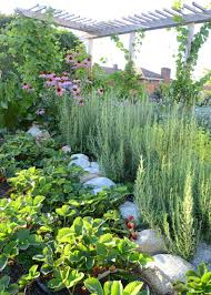 Erdbeeren Rosmarin Und Sonnenhut Fur Die Essbare Gartengestaltung Mit Spalier Gartengestaltung Garten Garten Landschaftsbau