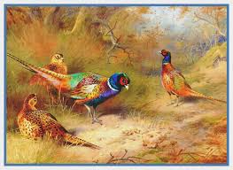 Feel free to stitch the patterns together or by themselves. Arts Crafts Sewing Orenco Originals Peacock And Butterfly Thorburn Counted Cross Stitch Pattern Needlework