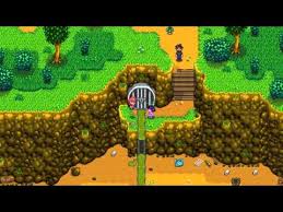 Krobus is located here and sells rare items. Locked Sewer Stardew Valley General Discussions