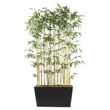 Lucky for you, there is. Dalmarko Designs 8 Foot Tall Screen Of Artificial Bamboo In Lightweight Black Planter Dm340