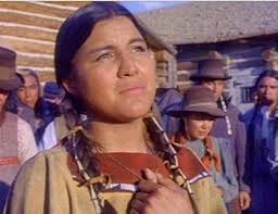 Indianer auf dem Kriegspfad Box : Dillon, Kevin, Greene, Graham, Holden,  Laurie, Keach, Stacy, Cole, Gary, Arquette, Rosanna, Morse, David, Beatty,  Ned, Irvin, John, Young, Roger: Amazon.nl: Films & tv