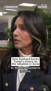 Former Rep. Tulsi Gabbard — Donald Trump's pick to be the director of  national intelligence — says she agrees with the president-elect's stance 