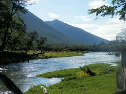 Rio Arroyo Grande Valle De Andorra Ushuaia Argentina Paisajes Ushuaia Argentina