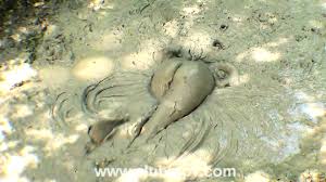 Anabelle Zabiegi Błotne - EPORNER