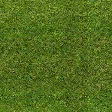 Resultat De Recherche D Images Pour Texture Herbe Plan Texture Herbe Texture Seamless Texture Sol