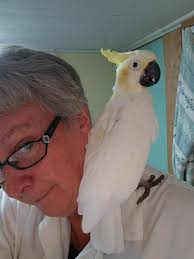 DRIVE THROUGH BY APPOINTMENT NOW...