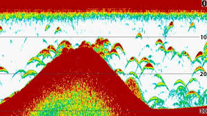 Down imaging fish finders send sonar down vertical from the boat, and side imaging sends sonar horizontally away from the boat. How To Read A Fish Finder Screen A Beginners Guide To Fishfinders