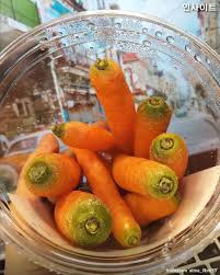 미니미한 당근과 뚜껑에 들어있는 랜치소스가 킬포인 아삭하고 달콤한 스낵당근 #스낵당근 #당근 #미니당근 #편의점신상 #GS25스낵당근  #GS25신상 #지에스25신상 #편의점간식 #다이어터 #식단 #건강간식 #먹스타그램 #맛스타그램 #푸드 #food