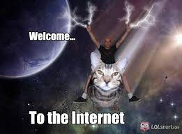 Image result for welcome to the internet meme