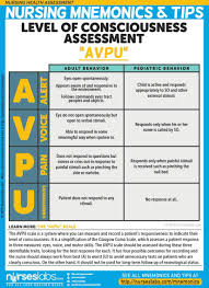 Neurological Sensorimotor Examination Levels Of