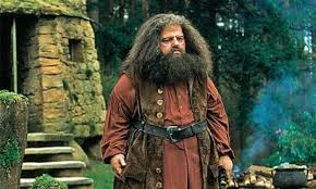 Robbie Coltrane Plays Hagrid In The Harry Potter Films Harry Potter Films Harry Potter Scottish Actors