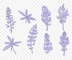 Flag of the state of texas clip art. Bluebonnet Flower Vectors Simple Bluebonnet Drawing Hd Png Download Vhv