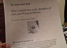 Romesa Really Wants A Cat So Much So She Wrote A 6 Page Essay For Her Parents Detailing Why They Should Let Her Get One T Cat Adoption Cat Dad Custom Writing