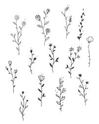 Easy Floral Doodles How To Draw Flowers Flower Drawing Design Beautiful Flower Drawings Floral Doodle
