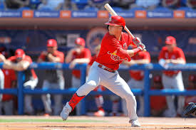 Add this to your st. St Louis Cardinals Mlb Team Preparing For 2021 Campaign Belleville News Democrat