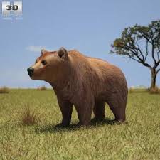 Bear 3d Model 3ds Obj Max Brown Bear Animals Bear