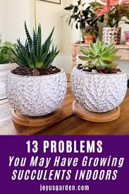 Check spelling or type a new query. 13 Common Succulent Houseplants Problems Growing Succulents Indoors