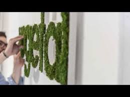 Tal Y Como Os Prometimos Hoy Os Contamos Como Es Posible Tener Un Logo Vegetal Tan Molon Como El Nuestro En Este Caso Exap Plante Devenir Distributeur Conne