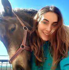 Who has a paddock for an aged STB gelding in Warwick, Queensland?