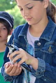 The Jasper County Jewel