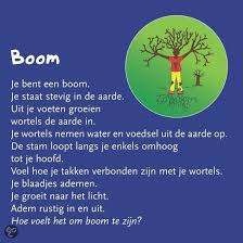 boom yoga yoga voor kinderen peuter yoga yoga kinderen