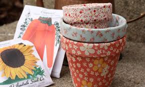 Maybe you would like to learn more about one of these? Simple Diy Ways To Customize Terracotta Pots