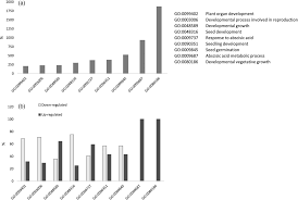 The proof is in the bulb: glycerol influences key stages of lily  development - Lazare - 2019 - The Plant Journal - Wiley Online Library