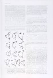 Image result for Aspidoglossum biflorum