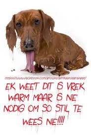 Double quotes are not officially named in lojban, but sometimes called lubu, following the same pattern as vowel letters, e.g. 25 It S Hot Out There Ideas Afrikaans Quotes Funny Hot Weather Humor