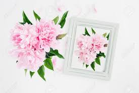 Feb 03, 2017 · este juego o reto es sencillo: Marco De Madera En Colores Pastel Decorado Con Flores De Peonias Espacio Para Texto Bosquejo Fotos Retratos Imagenes Y Fotografia De Archivo Libres De Derecho Image 80153285