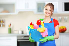 House Cleaner With Cleaning Supplies Fondo De Pantalla Tropical Fondos Para Iphone Tropical
