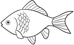 Lanjutkan gambar dengan membuat bagian bawah ikan dan juga garis insan. 1001 Keindahan Sketsa Gambar Ikan Terlengkap Beserta Penjelasanya