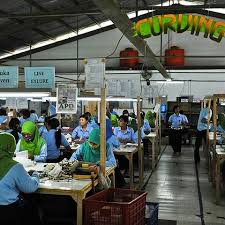 Maybe you would like to learn more about one of these? Pt Royal Korindah Purbalingga Plant Building