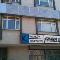 Kadikoy Belediyesi Veteriner Isleri Mudurlugu Fikirtepe 115 Ziyaretcidan 6 Tavsiye