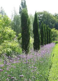 Der Hortus In Hilden Ein Mediterraner Garten Im Rheinland Der Ein Garten Hilden Hortus Mediterraner In 2020 Backyard Trees Mediterranean Garden Lavender Garden