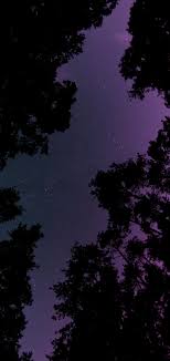 Select from 9679 premium purple night sky of the highest . Purple Night Sky With Trees R S10wallpapers