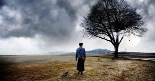 Beyond his military duties, he is the key man in maher al assad's business network, managing relations with a number of tycoons and benefitting from a good overall perspective on the country's various sectors of. Bilal Assad Iman Archive Islam