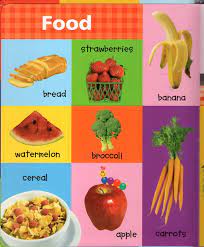 First Words Baby Einstein Board Book