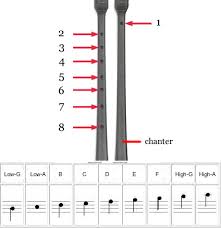 Ielts Academic Reading Test 5 Free Practice Test