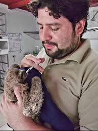 Dog Walking in Provincia de Heredia, Heredia