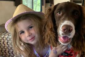 Fundraiser by Jennifer Affleck : Saving Ginger