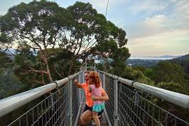 Banyak tarikan menarik yang bisa anda eksplore dan merasakan kepuasan holiday yang diinginkan. Miri Mulu Limbang Brunei 10 Days Special Tours Compare Prices 2021