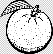 Black And White Orange Clip Art Orange White Fruit Black Png Clipart Artwork Black Black And White Circle Clip Art Free Png Download Orange Fruit Orange Fruit