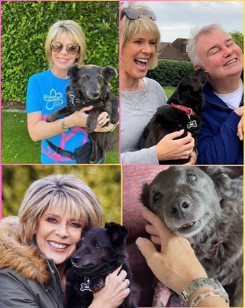 Ruth Langsford's goodbye to Maggie carries the weight of 15 years of love. 💔 The presenter has announced that her beloved rescue dog has died aged 16, sharing that her passing was