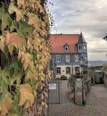 Places to visit in the Odenwald - home is here