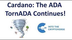 According to tradingbeasts, cardano could reach $1.29 at the end of 2021, and would be trading at $1.6 by the end of 2024. Will Cardano Fall Below 1 Again Cardanotrading