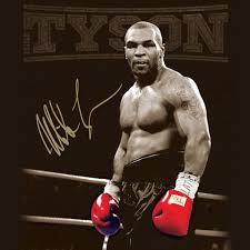 Mike Tyson Wallpapers Wallpaper Cave Mike Tyson Boxing Mike Tyson Tyson Boxer Tons of awesome mike tyson wallpapers to download for free. mike tyson wallpapers wallpaper cave